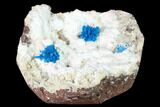 Vibrant Blue Cavansite Crystals on Stilbite & Mordenite - India #168248-4